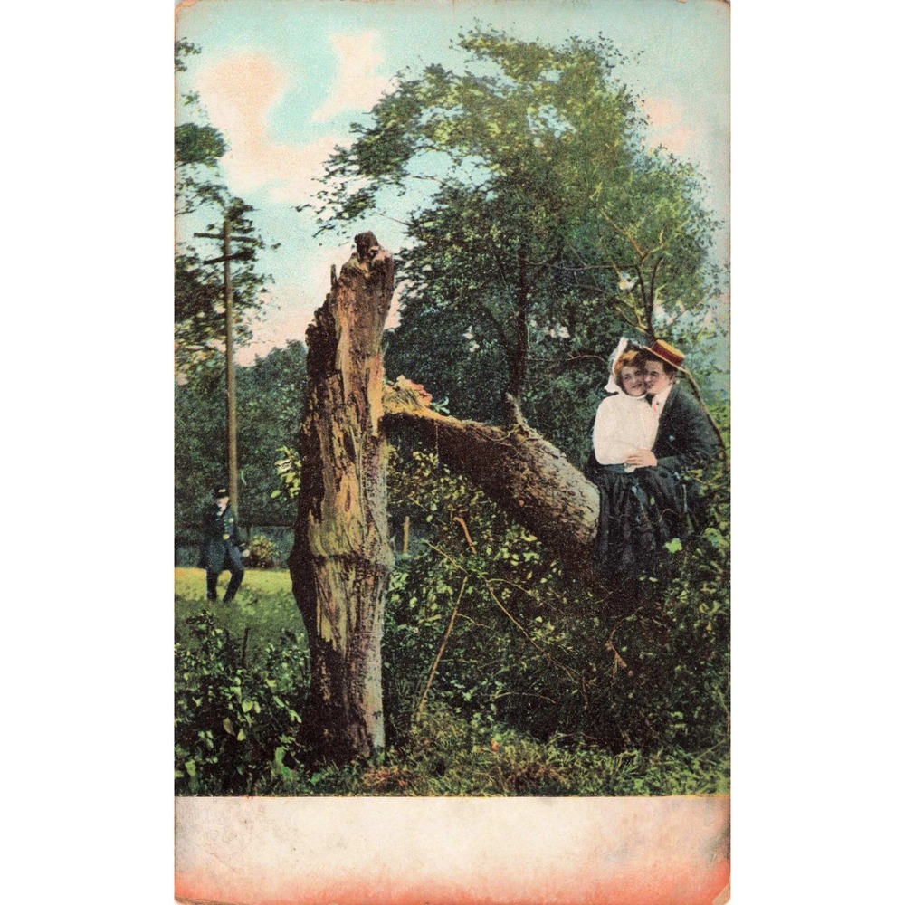Antique Romantic Couple Park Scene Postcard 1901-1907 Undivided Back VG - Picture 1 of 2